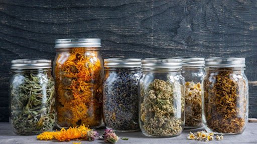 Foraging and Infused Honey - Kitako