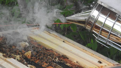 Smoke Bees Everyday: Why Beekeepers Use A Smoker - Kitako