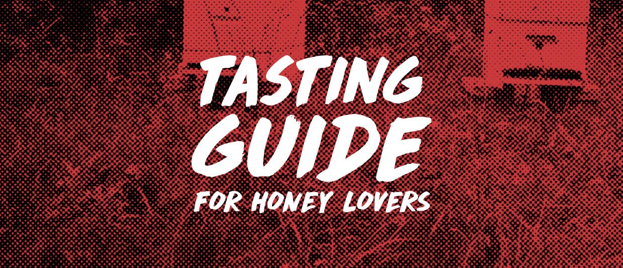 TASTING GUIDE - Kitako
