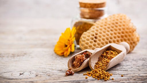 More Than Saskatchewan Honey: Bee Pollen, Beeswax, Propolis, and Royal Jelly Explained - Kitako