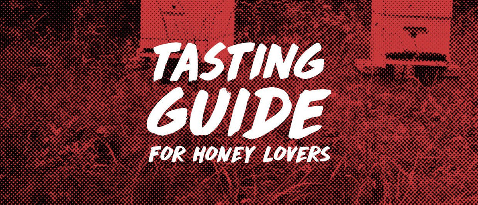 TASTING GUIDE - Kitako 